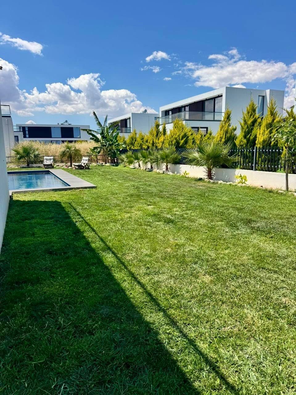 Landscaped lawn and palms
